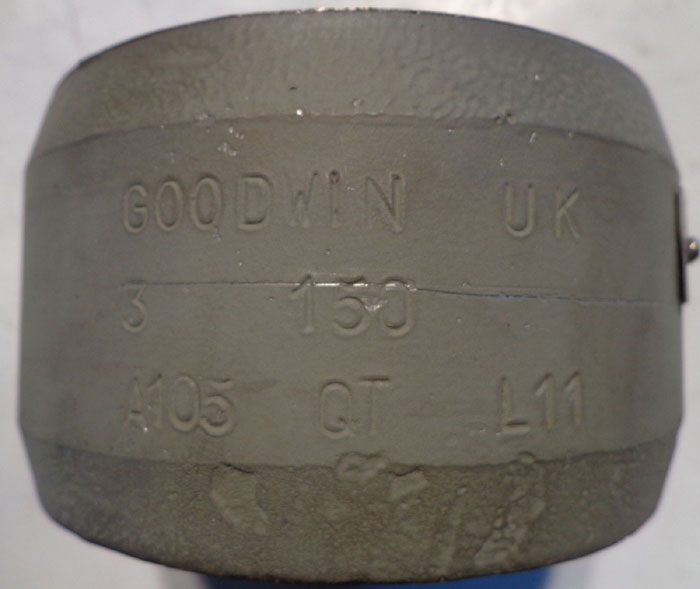 GOODWIN 3" WAFER CHECK VALVE - CMMPR-YM