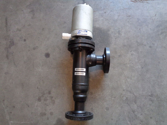 MAGNETROL 2" 300# FLANGED FLOAT CAGE LIQUID LEVEL SWITCH #C29-2Q40-ANM