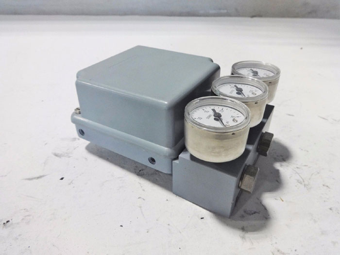 ECKARDT DOUBLE ACTING POSITIONER 6981810