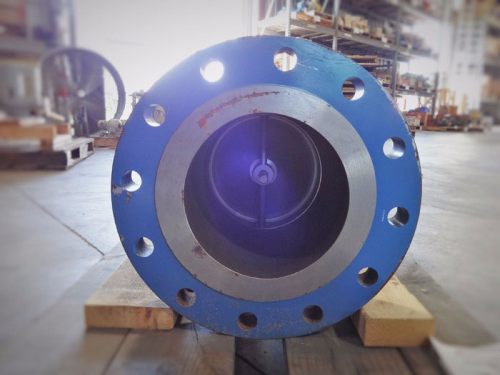 DFT EXCALIBUR CHECK VALVE 8" 300
