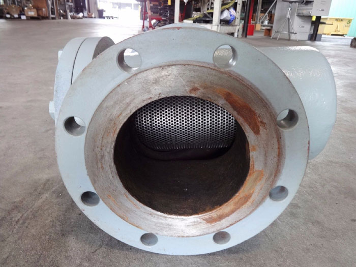 SURE FLOW 6" 150# WCB FLANGED BASKET STRAINER BF 150C