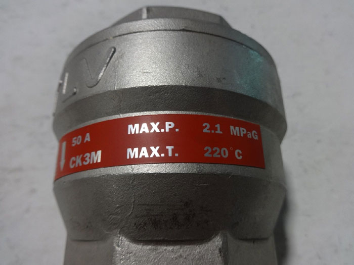 TLV 2" CHECK VALVE CK3M 50A