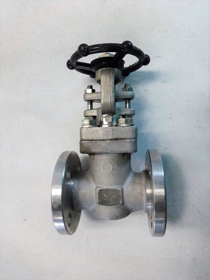 DSI 1" 150 316 STAINLESS STEEL GATE VALVE, 1131E1618