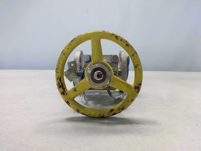 PK VALVE 3/4" 150# CF8M FLANGED GATE VALVE, FIG# 150RF10SL-GRF