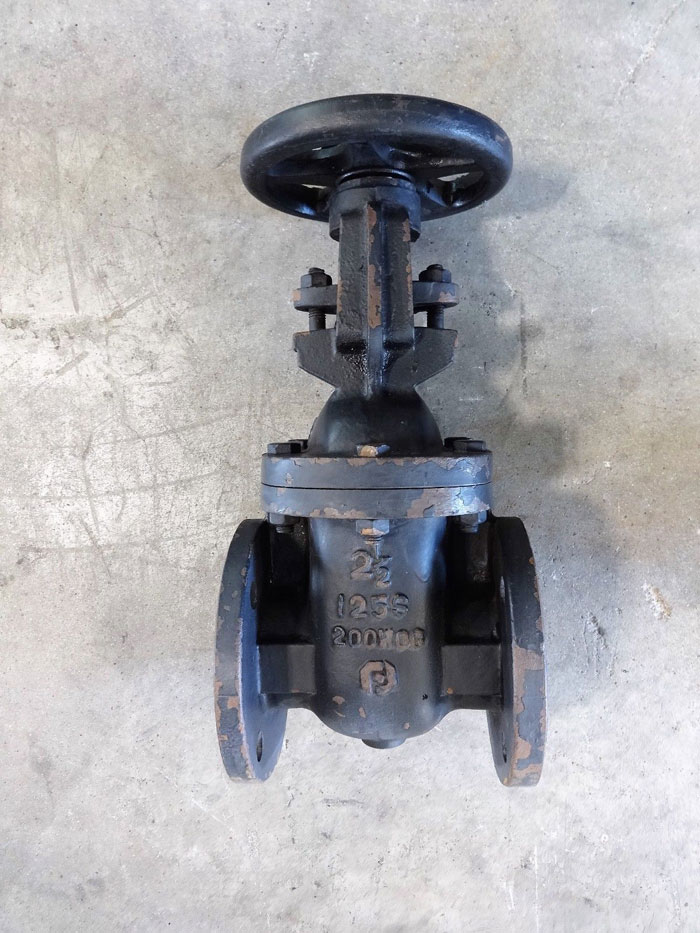 FORTUNE 2-1/2" 125# CAST IRON FLANGED GATE VALVE, 200 WOG, FIG# 553-F
