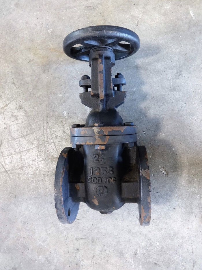 FORTUNE 2-1/2" 125# CAST IRON FLANGED GATE VALVE, 200 WOG, FIG# 553-F