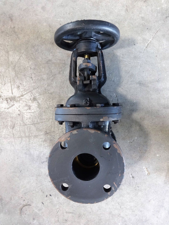 FORTUNE 2-1/2" 125# CAST IRON FLANGED GATE VALVE, 200 WOG, FIG# 553-F