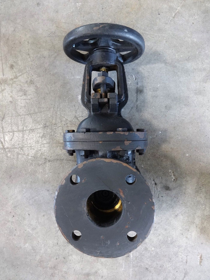 FORTUNE 2-1/2" 125# CAST IRON FLANGED GATE VALVE, 200 WOG, FIG# 553-F