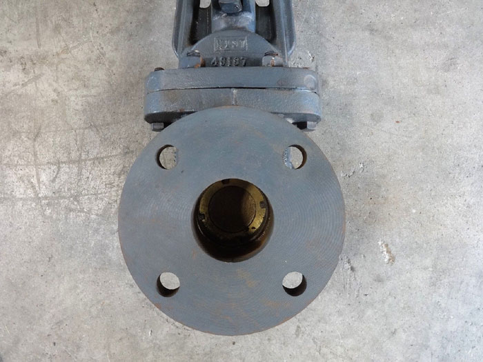 HAMMOND 2-1/2" 125# IBBM CAST IRON FLANGED GATE VALVE, 200 WOG, FIG# IR1140A