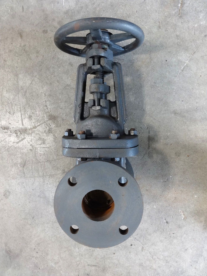 HAMMOND 2-1/2" 125# IBBM CAST IRON FLANGED GATE VALVE, 200 WOG, FIG# IR1140A