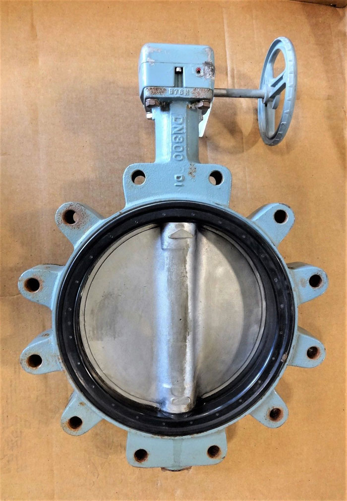 Kitz 12" Gear Operated Butterfly Valve, DI Body, 316SS Disc, Fig# DJ LHE