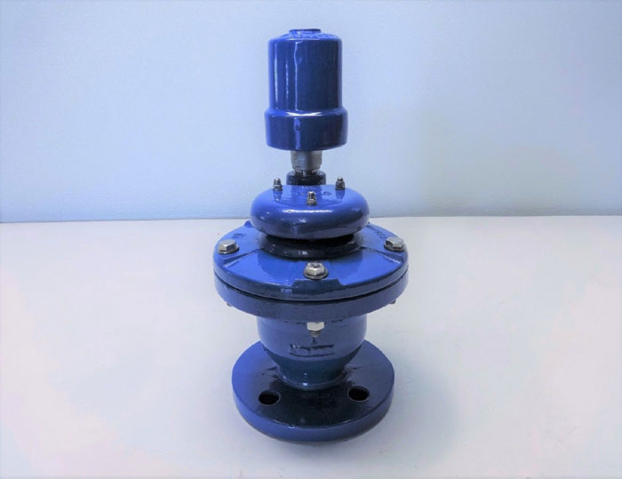 A.R.I. 2" COMBINATON AIR VALVE D060C