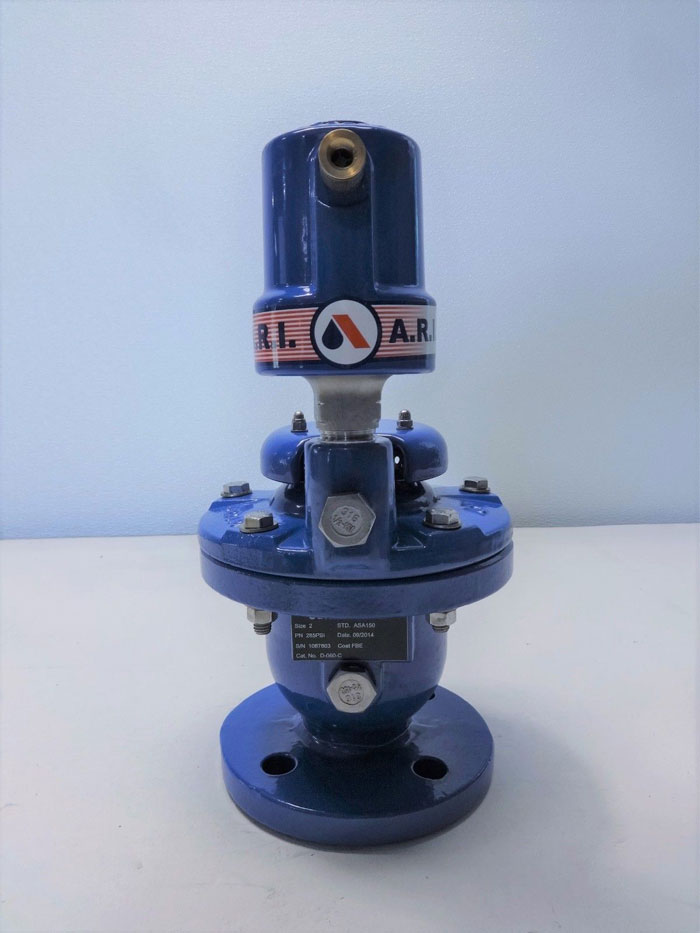 A.R.I. 2" COMBINATON AIR VALVE D060C