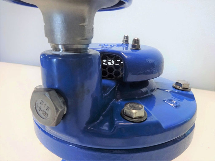 A.R.I. 2" COMBINATON AIR VALVE D060C