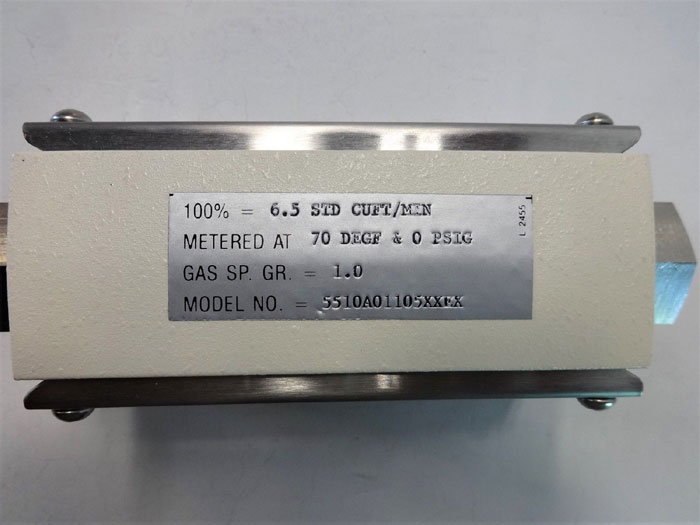 US Filter Series 55-100 Direct View Flowmeter 5510A01105XXEX