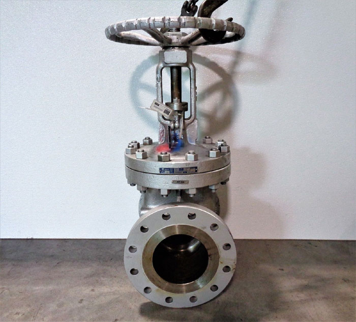 Neway 6" 300# WCB Gate Valve, Fig# 6G3RA5-NC-ULE1