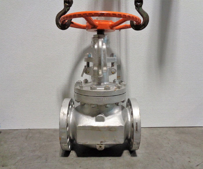 Kitz 6" 300# WCB Globe Valve, Fig# 300SCJSMM-N