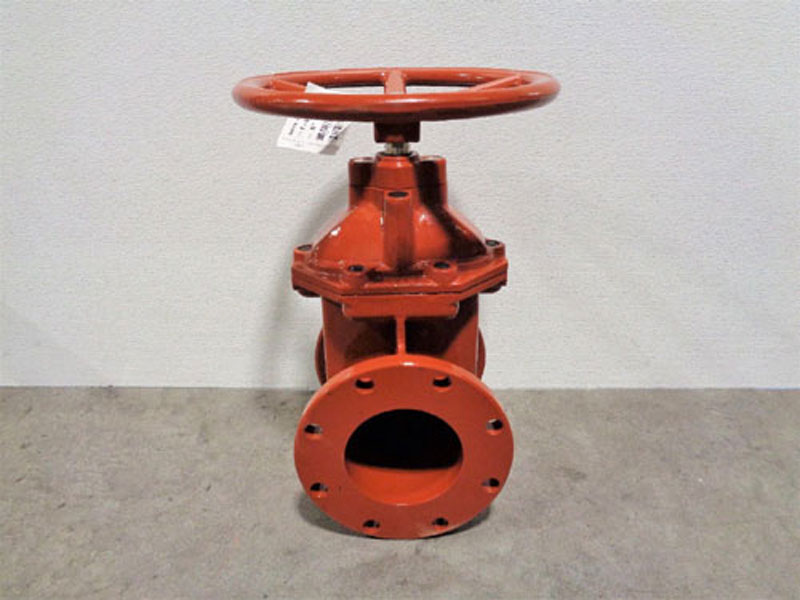 NIBCO 6" Gate Valve, Ductile Iron, Fig# F-619-RWS-HW