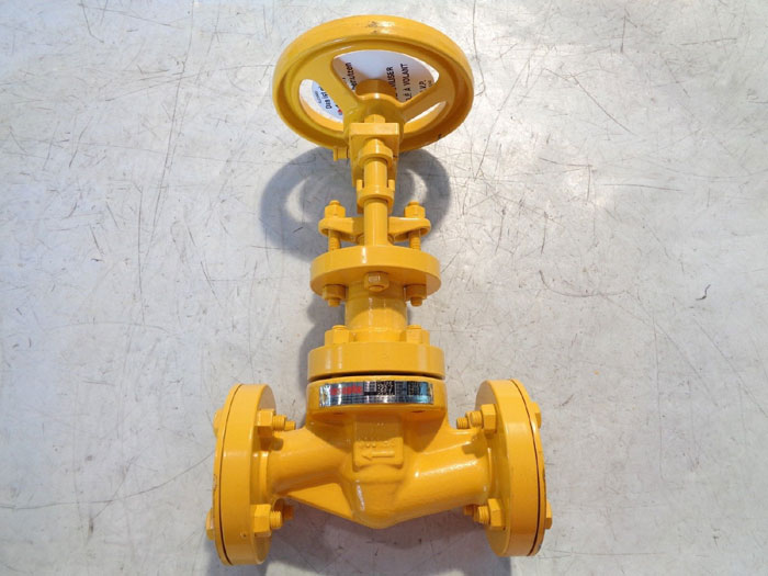 DESCOTE 1" 300# SEALED GLOBE VALVE 2100B