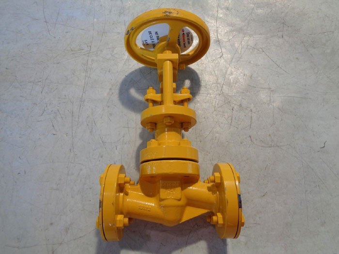 DESCOTE 1" 300# SEALED GLOBE VALVE 2100B