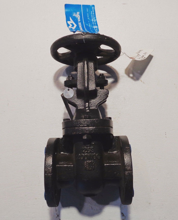 LOT OF (5) MILWAUKEE VALVE CO. 2" 125# CAST IRON IBBM FF GATE VALVE, FIG#: 2885A