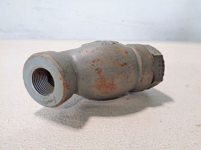 MUELLER 3/4" NPT Y-TYPE STRAINER 3/4" WCB Body