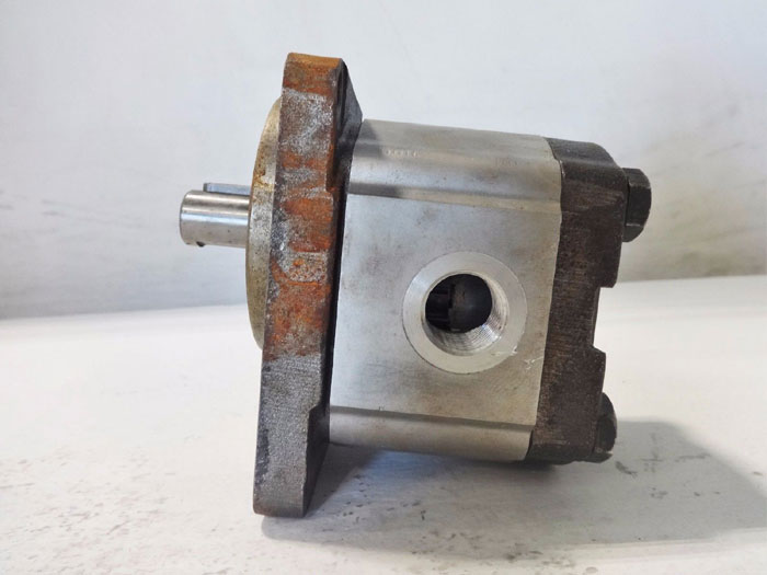 ZI BETA SERIES 1/2" ROTARY GEAR PUMP 05299100501