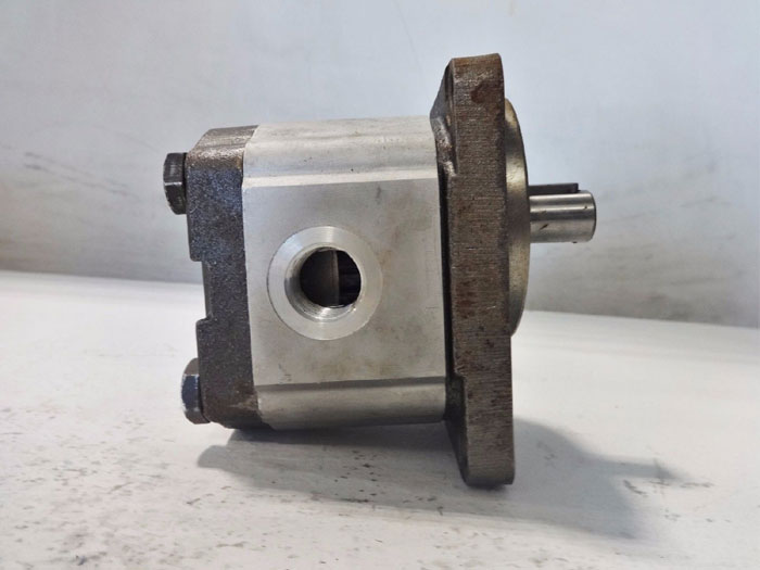 ZI BETA SERIES 1/2" ROTARY GEAR PUMP 05299100501