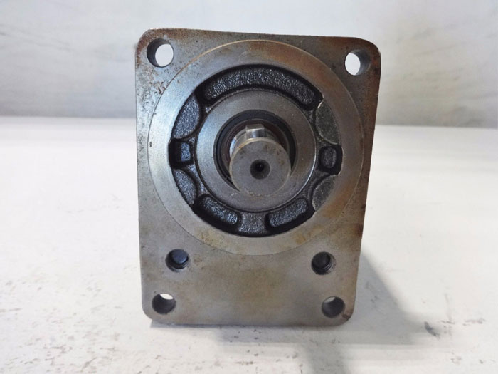 ZI BETA SERIES 1/2" ROTARY GEAR PUMP 05299100501