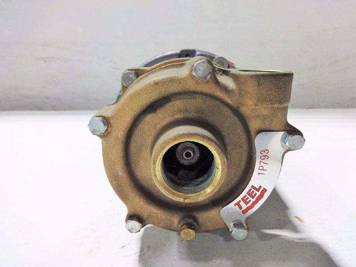 TEEL 1-1/4" CLOSE COUPLED BRONZE CENTRIFUGAL PUMP 1P793 W/ DAYTON MOTOR 3N090K