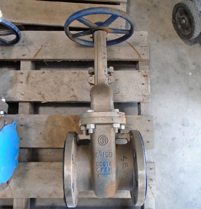 WADA 6" 150# CF8M GATE VALVE