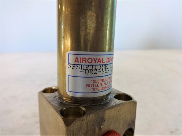 AIROYAL 1" X 10" HYDRAULIC CYLINDER SPSHP313SM-0R2-SSR-BT