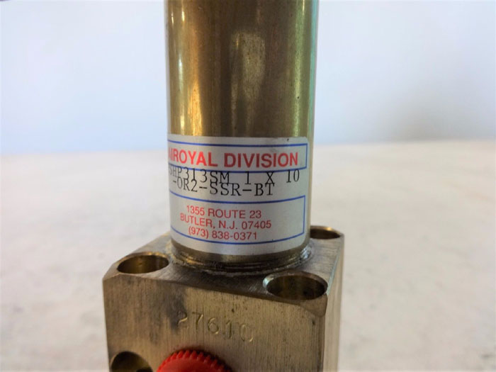 AIROYAL 1" X 10" HYDRAULIC CYLINDER SPSHP313SM-0R2-SSR-BT