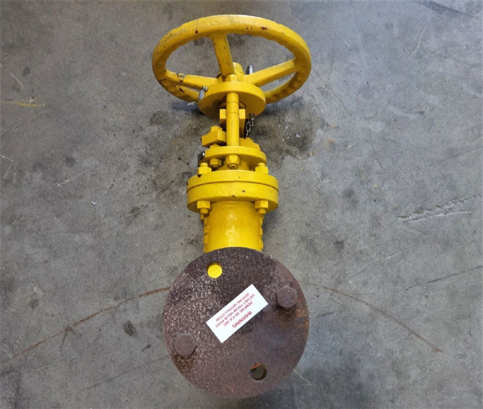 TAYLOR SHAW 2" 300# BELLOWS SEAL GLOBE VALVE LCC MATERIAL, FIG# LM6422
