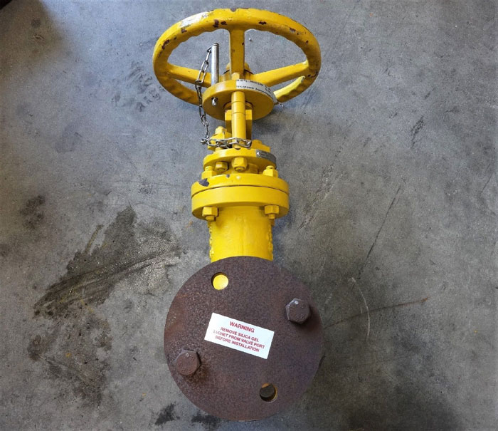 TAYLOR SHAW 2" 300# BELLOWS SEAL GLOBE VALVE LCC MATERIAL, FIG# LM6422