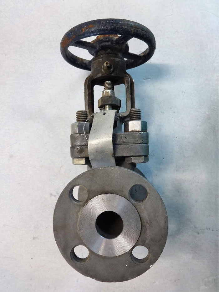 POWELL 1" 150# CF8M FLANGED GATE VALVE, FIG# 1.00 2491