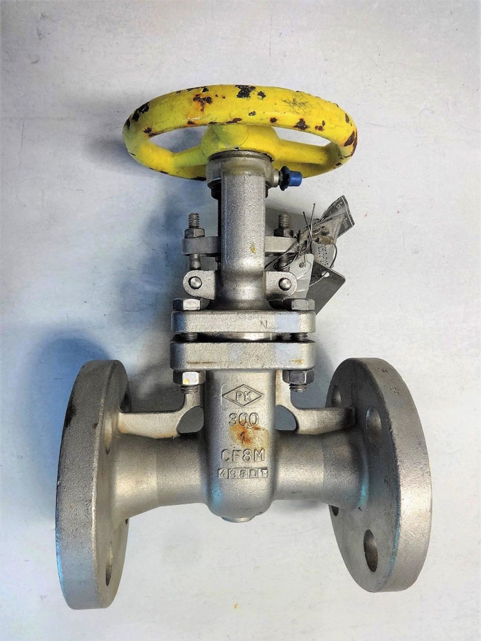 PK VALVE 1" 300# CF8M FLANGED GATE VALVE, FIG# 300RF10SL-GRF