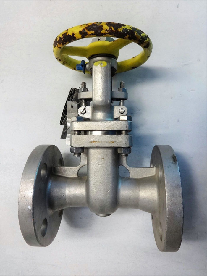 PK VALVE 1" 300# CF8M FLANGED GATE VALVE, FIG# 300RF10SL-GRF