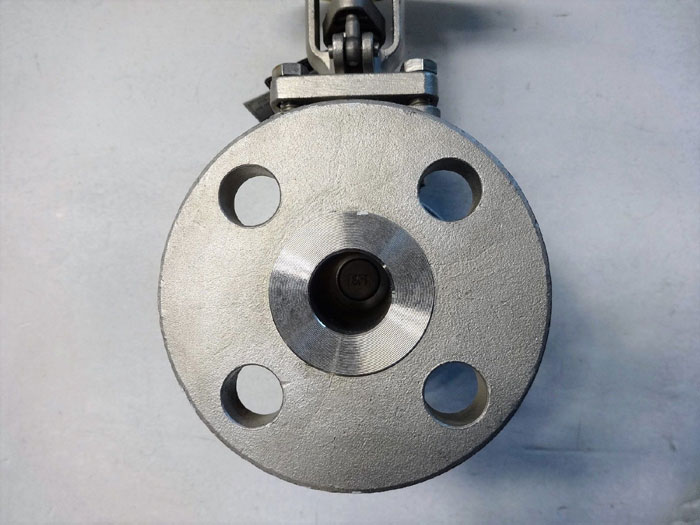 PK VALVE 1" 300# CF8M FLANGED GATE VALVE, FIG# 300RF10SL-GRF