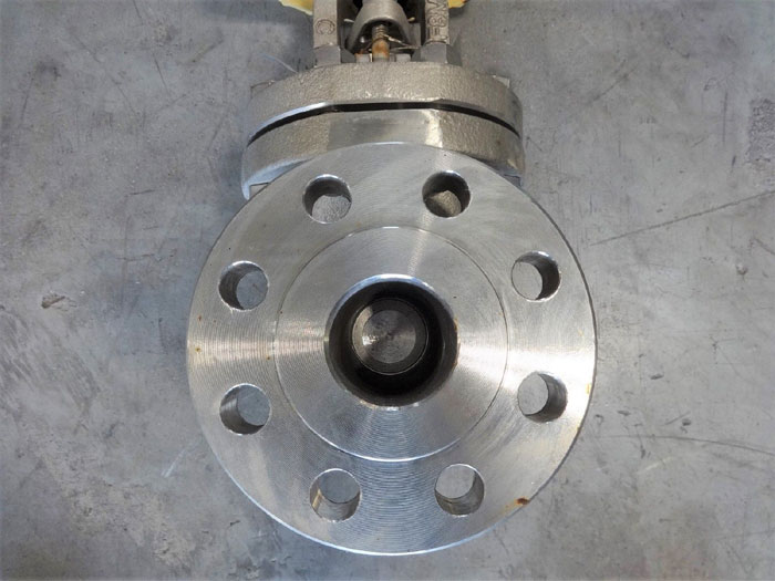 PK VALVE 2" 300# CF8M FLANGED GATE VALVE, FIG# 300RF12SH-GRF API600