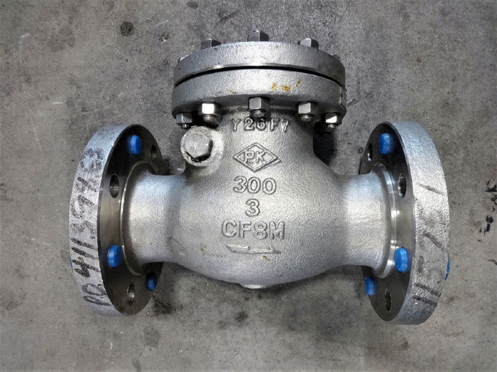 PK 3" 300# CF8M SWING CHECK VALVE, FIG# 302RF10SL-GRF