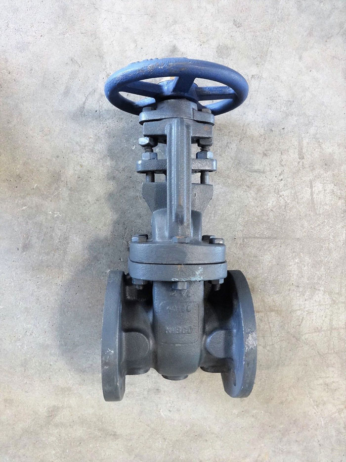 NIBCO 2-1/2" IBBM CAST IRON FLANGED GATE VALVE, 125 SWP, 200 WOG, FIG# F-617-O