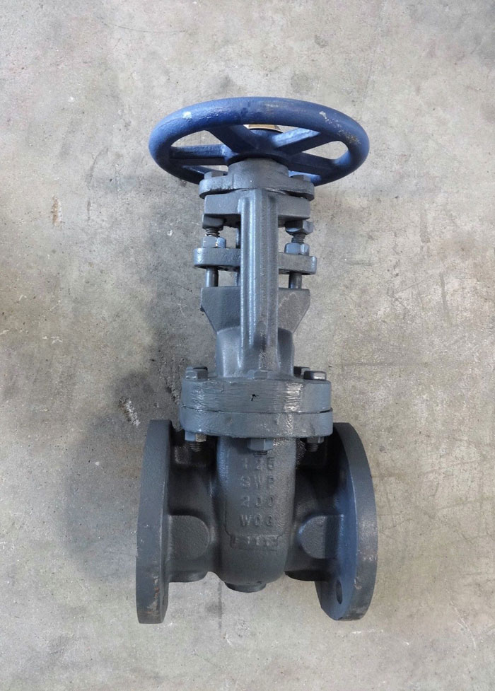 NIBCO 2-1/2" IBBM CAST IRON FLANGED GATE VALVE, 125 SWP, 200 WOG, FIG# F-617-O