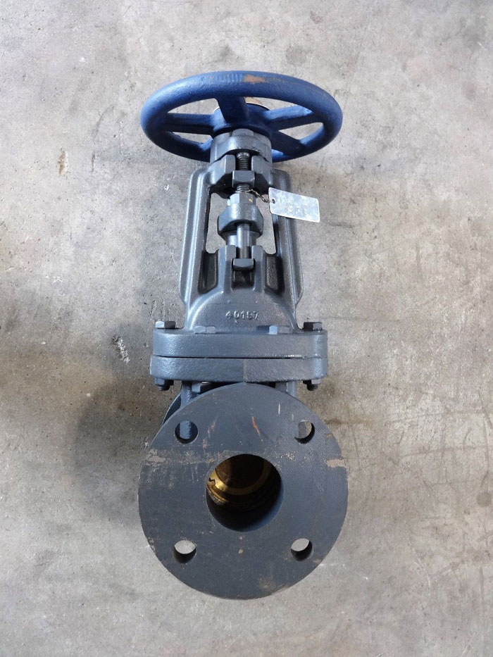 NIBCO 2-1/2" IBBM CAST IRON FLANGED GATE VALVE, 125 SWP, 200 WOG, FIG# F-617-O