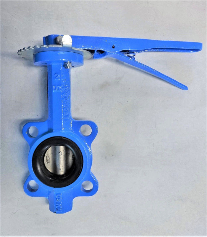 WATTS 2" BUTTERFLY VALVE, LEAD FREE, DUCTILE IRON BODY, CF8M DISC **LOT OF (2)**