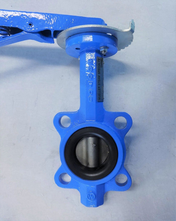 WATTS 2" BUTTERFLY VALVE, LEAD FREE, DUCTILE IRON BODY, CF8M DISC **LOT OF (2)**