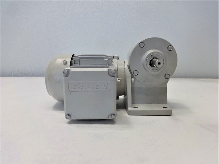 Eberhard Bauer Worm Gear Motor E3-10/DK 54-143 L