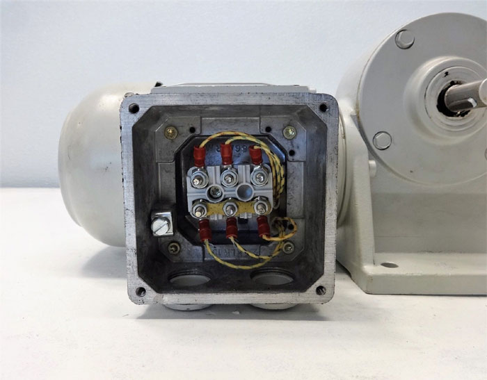 Eberhard Bauer Worm Gear Motor E3-10/DK 54-143 L