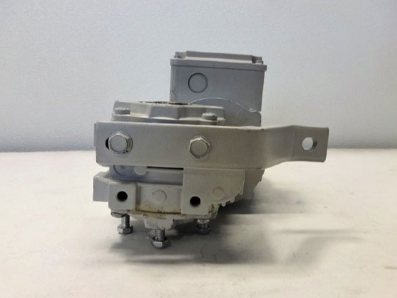 Bauer Worm Gear Motor BS03-54HO/D06LA4-TF