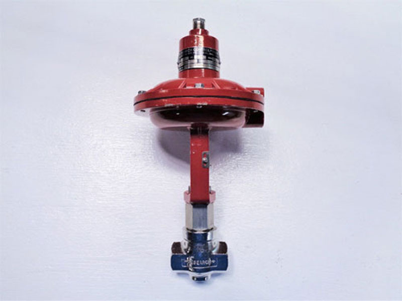 Badger 1/2" NPT Research Control Valve 1002GCN36SV0SFLN36